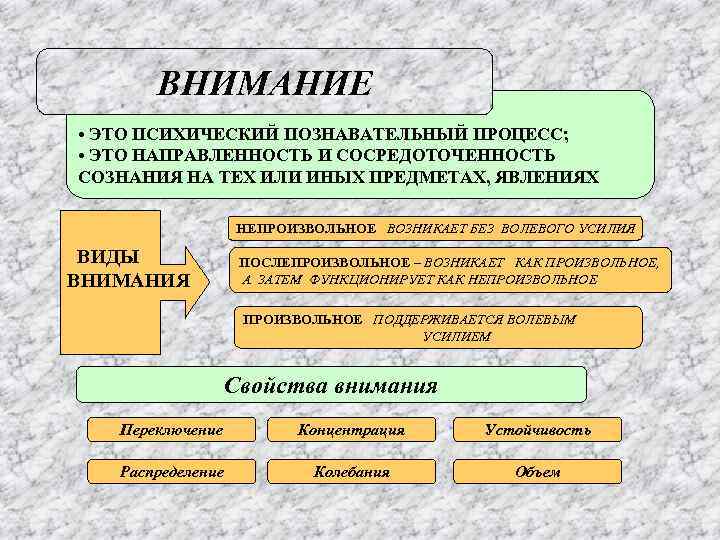 Память как познавательный психический процесс презентация