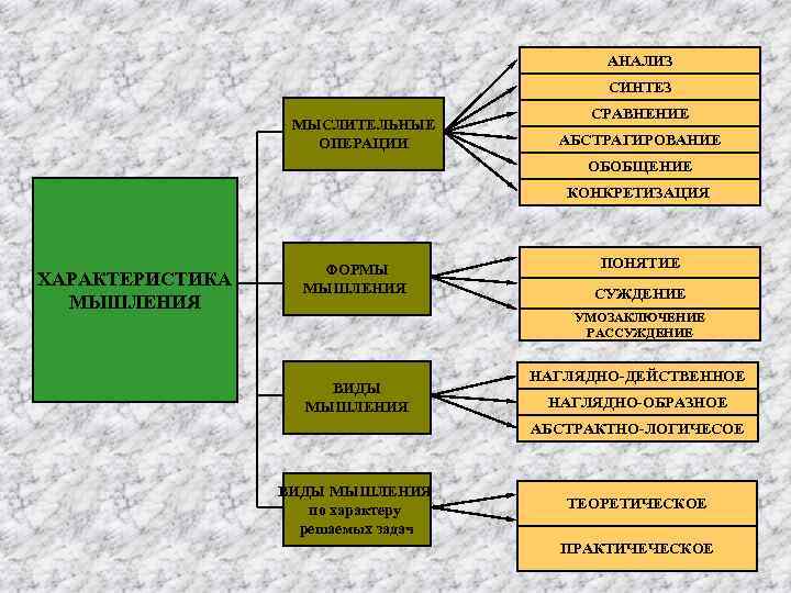 Виды мышления и их характеристика презентация