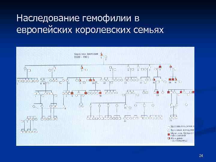 Наследование гемофилии в европейских королевских семьях 24 