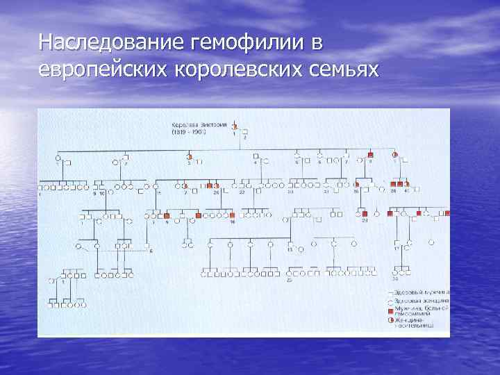 Наследование гемофилии в европейских королевских семьях 