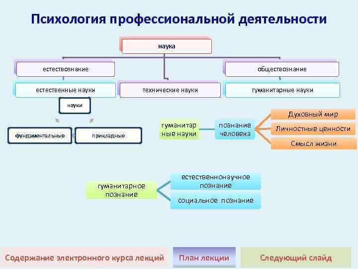 Структура деятельности общества