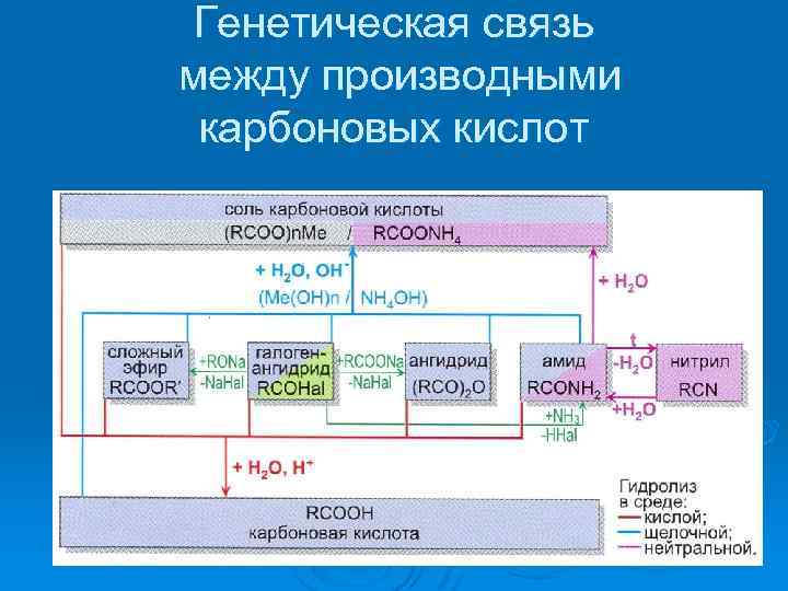 Генетическая связь органических веществ презентация