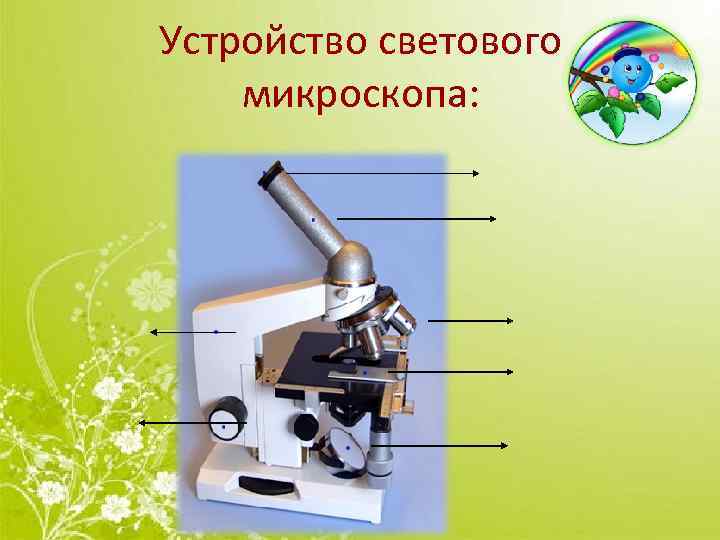 Какую функцию выполняет зеркальце в микроскопе. Строение микроскопа тубусодержатель. Устройство светового микроскопа. Детали светового микроскопа. Основные детали микроскопа.