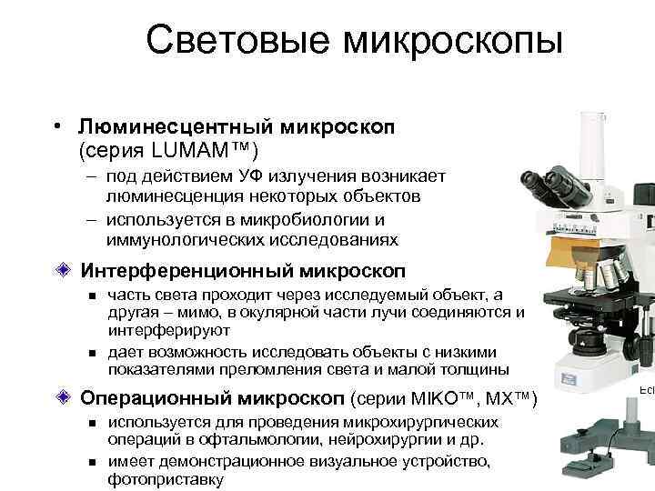 Световые микроскопы • Люминесцентный микроскоп (серия LUMAM™) – под действием УФ излучения возникает люминесценция