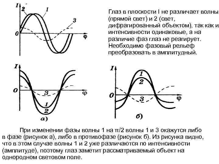 Глаз в плоскости I не различает волны (прямой свет) и 2 (свет, дифрагированный объектом),