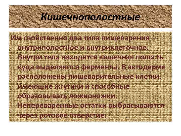 Кишечнополостные Им свойственно два типа пищеварения – внутриполостное и внутриклеточное. Внутри тела находится кишечная