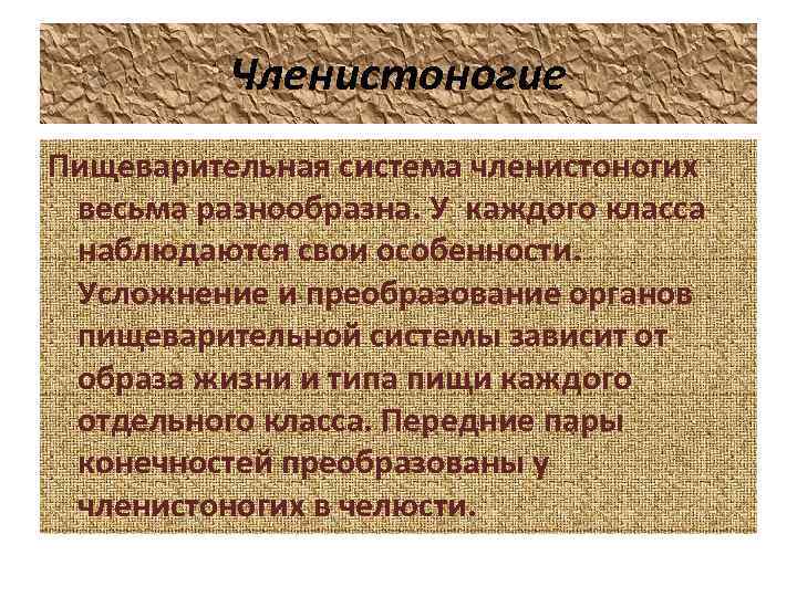Членистоногие Пищеварительная система членистоногих весьма разнообразна. У каждого класса наблюдаются свои особенности. Усложнение и