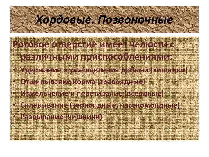 Хордовые. Позвоночные Ротовое отверстие имеет челюсти с различными приспособлениями: • • • Удержание и