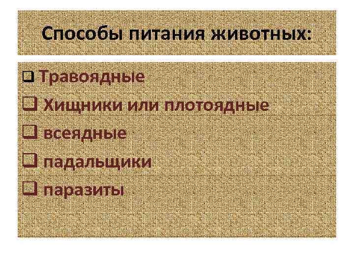 Способы питания животных: q Травоядные q Хищники или плотоядные q всеядные q падальщики q
