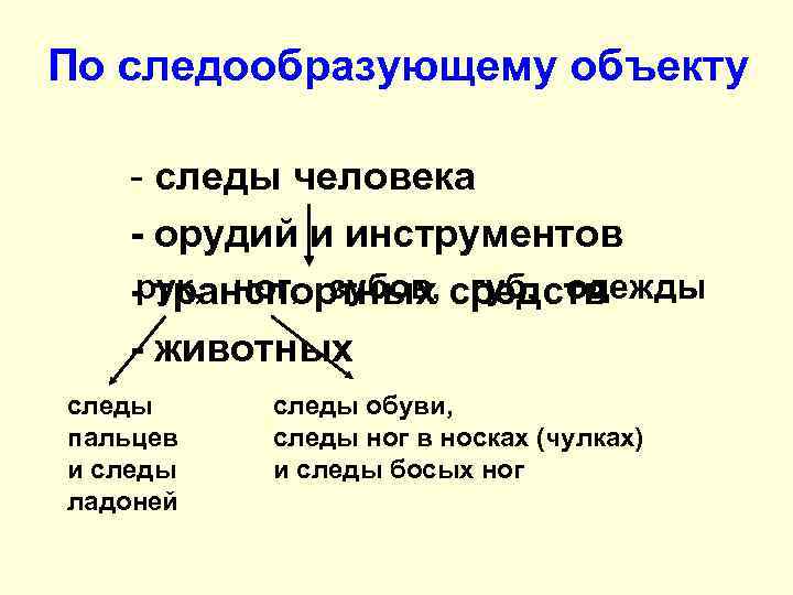 По следообразующему объекту - следы человека орудий и инструментов рук, ног, зубов, средств транспортных