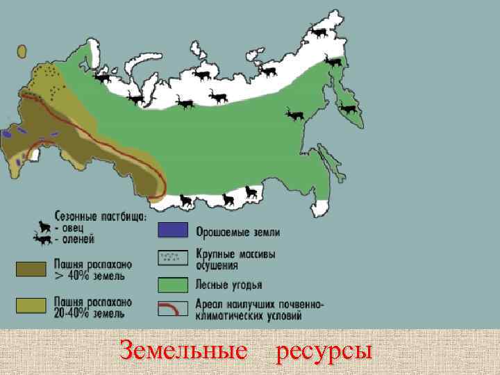 Земельные ресурсы 