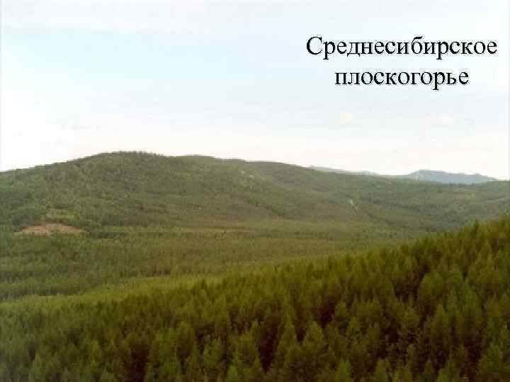 Среднесибирское плоскогорье 