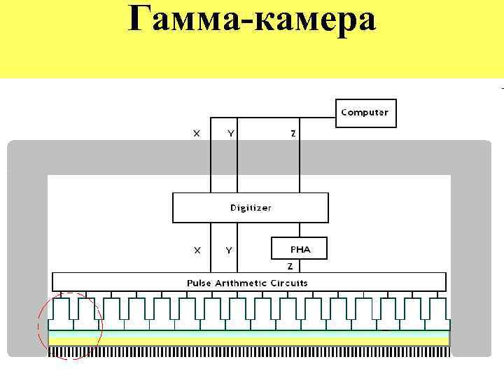 Схема устройства гамма камеры