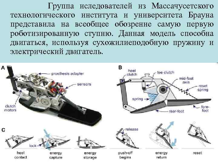Группа иследователей из Массачусетского технологического института и университета Брауна представила на всеобщее обозрение самую