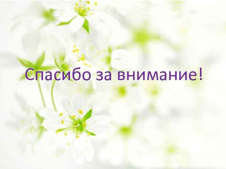 Спасибо за внимание! 