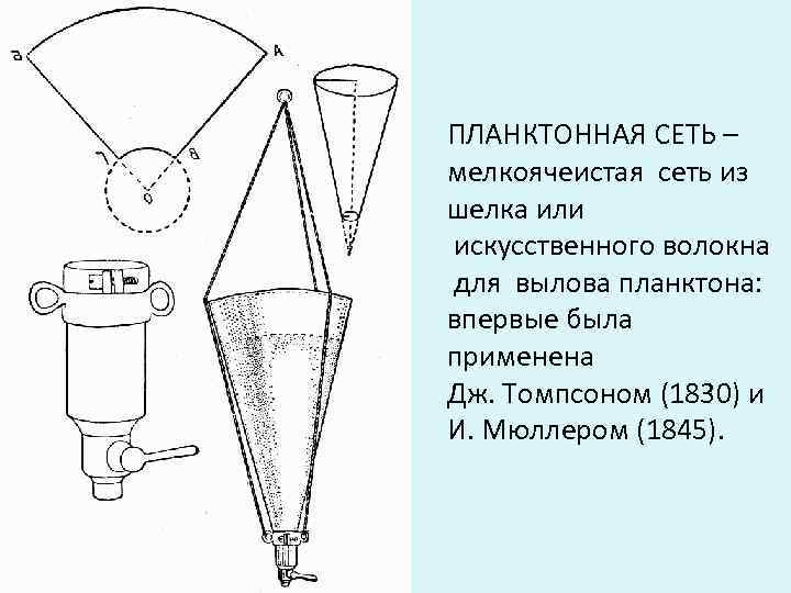 ПЛАНКТОННАЯ СЕТЬ – мелкоячеистая сеть из шелка или искусственного волокна для вылова планктона: впервые