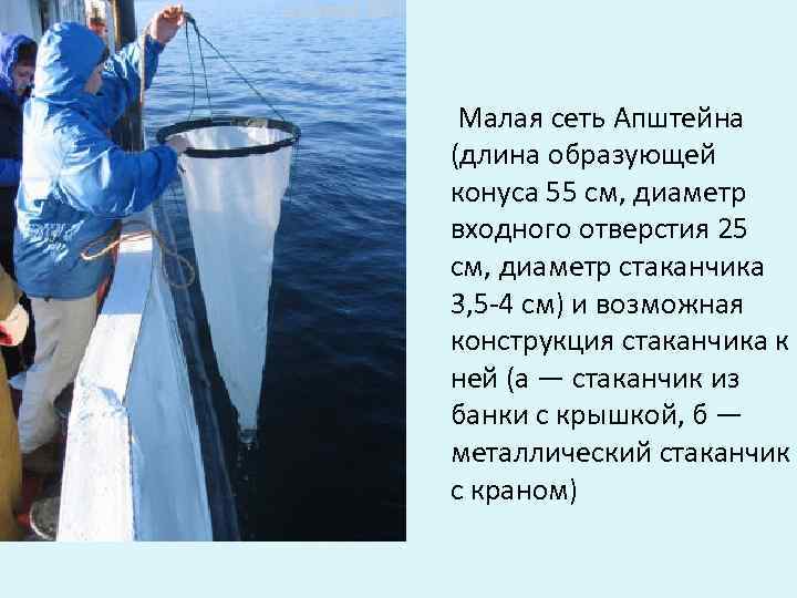  Малая сеть Апштейна (длина образующей конуса 55 см, диаметр входного отверстия 25 см,