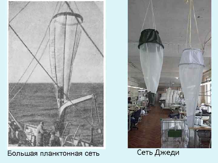 Большая планктонная сеть Сеть Джеди 