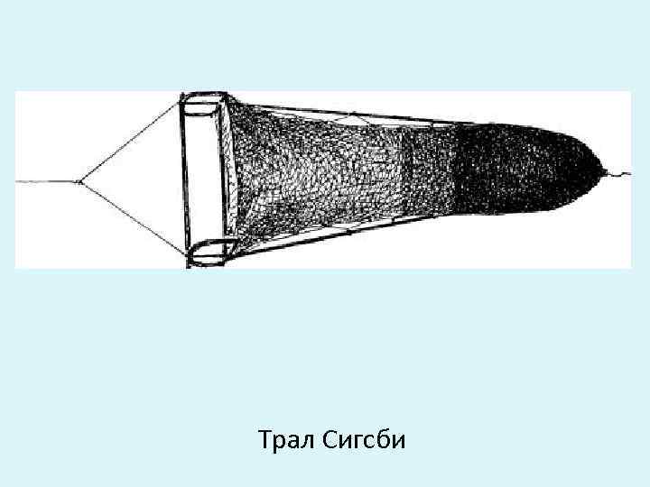 Трал Сигсби 