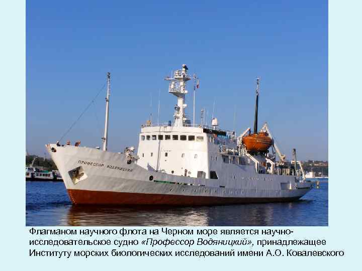 Флагманом научного флота на Черном море является научноисследовательское судно «Профессор Водяницкий» , принадлежащее Институту