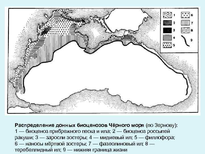 Описание черного моря по плану 6 класс география