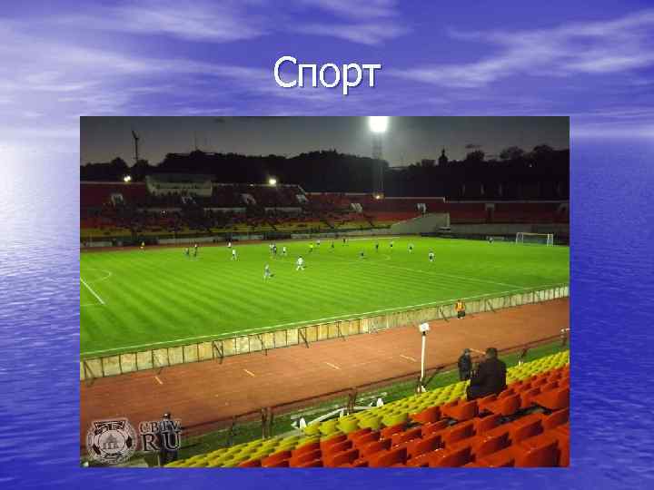 Спорт 