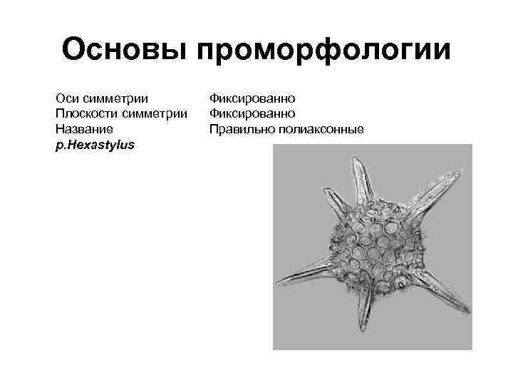 Основы проморфологии Оси симметрии Плоскости симметрии Название р. Hexastylus Фиксированно Правильно полиаксонные 