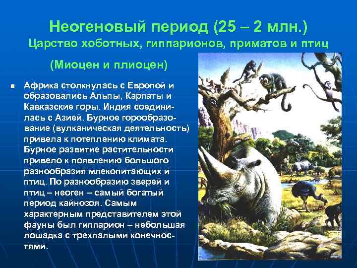 Неогеновый период (25 – 2 млн. ) Царство хоботных, гиппарионов, приматов и птиц (Миоцен