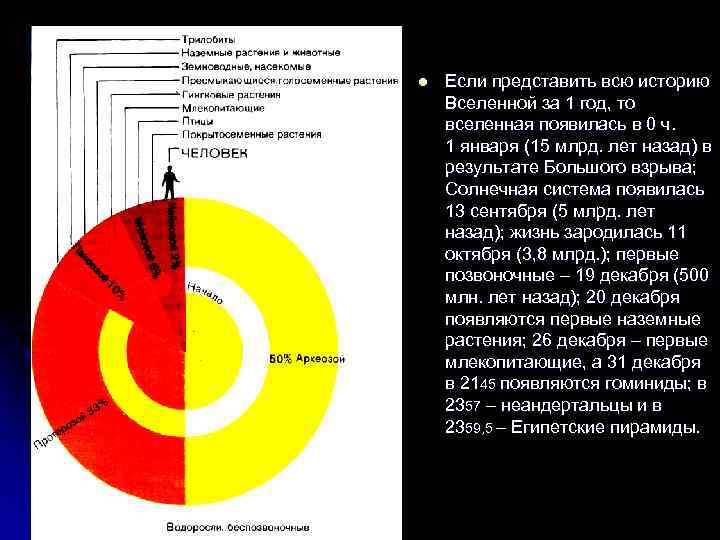 l Если представить всю историю Вселенной за 1 год, то вселенная появилась в 0