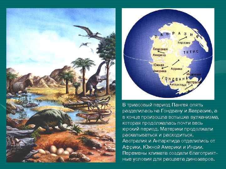 В триасовый период Пангея опять разделилась на Гондвану и Лавразию, а в конце произошла