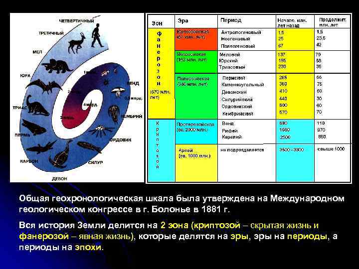 Общая геохронологическая шкала была утверждена на Международном геологическом конгрессе в г. Болонье в 1881