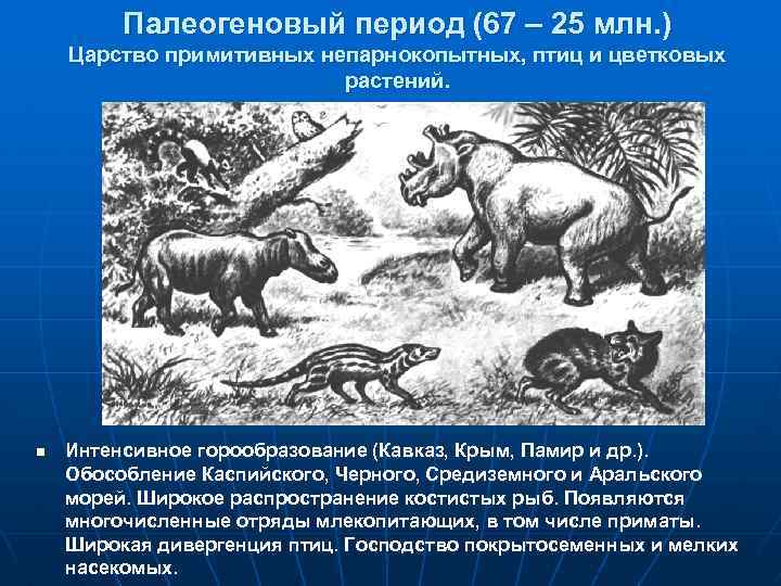 Палеогеновый период (67 – 25 млн. ) Царство примитивных непарнокопытных, птиц и цветковых растений.