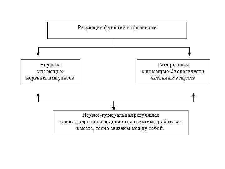 1 регуляция функций. Регуляция функций организма. Нейрогуморальная регуляция функций организма. Регуляция организма схема. Гуморальная регуляция функций организма схема.