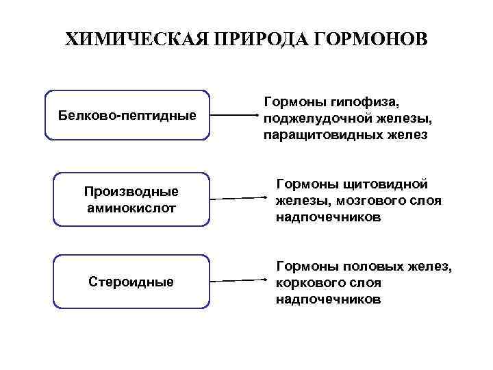 Химическая природа гормонов схема