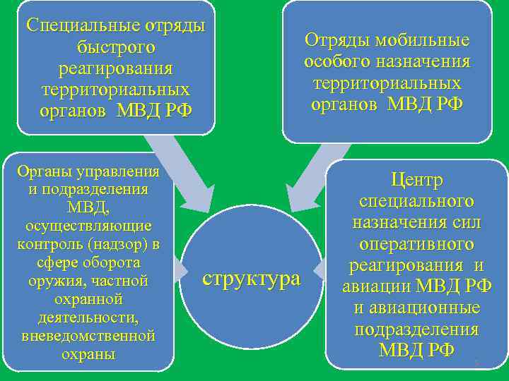 Специальные отряды быстрого реагирования территориальных органов МВД РФ Органы управления и подразделения МВД, осуществляющие