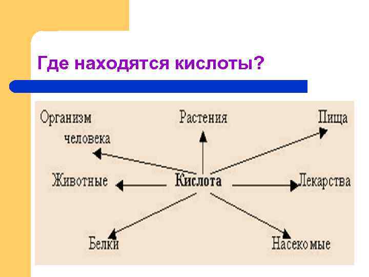 Где находятся кислоты? 