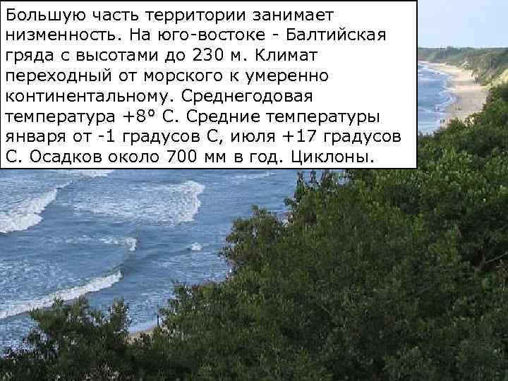 Большую часть территории занимает низменность. На юго-востоке - Балтийская гряда с высотами до 230