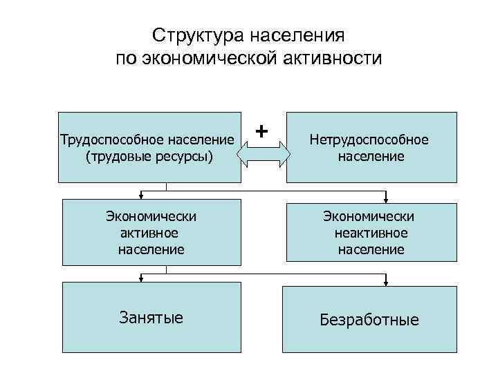 Структура населения по экономической активности Трудоспособное население (трудовые ресурсы) + Нетрудоспособное население Экономически активное