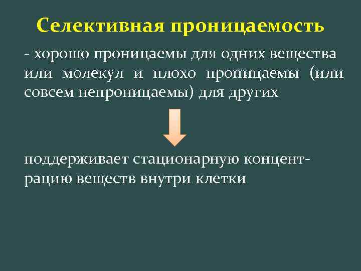 Селективная проницаемость - хорошо проницаемы для одних вещества или молекул и плохо проницаемы (или