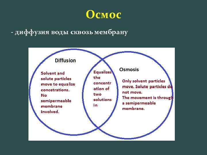 Осмос - диффузия воды сквозь мембрану 