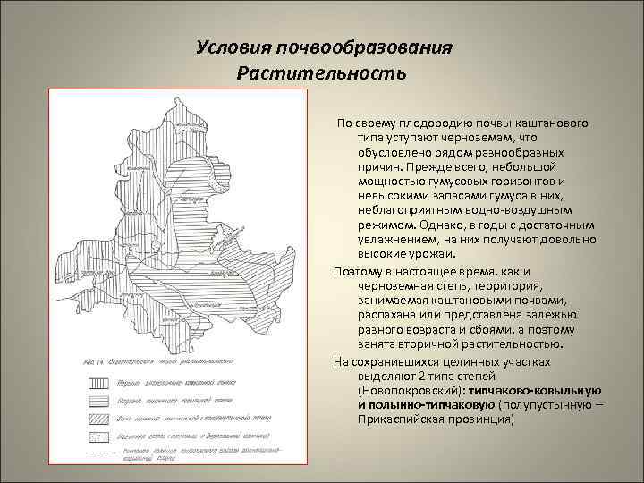  Условия почвообразования Растительность По своему плодородию почвы каштанового типа уступают черноземам, что обусловлено
