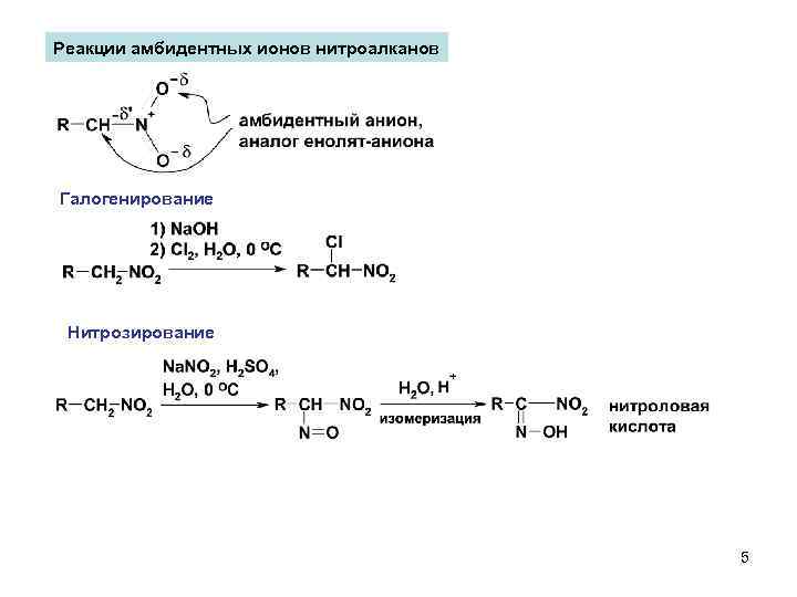 Реакции амбидентных ионов нитроалканов Галогенирование Нитрозирование 5 