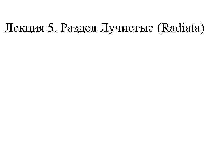 Лекция 5. Раздел Лучистые (Radiata) 
