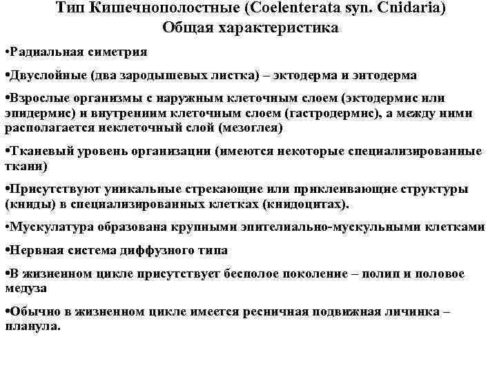 Тип Кишечнополостные (Coelenterata syn. Cnidaria) Общая характеристика • Радиальная симетрия • Двуслойные (два зародышевых