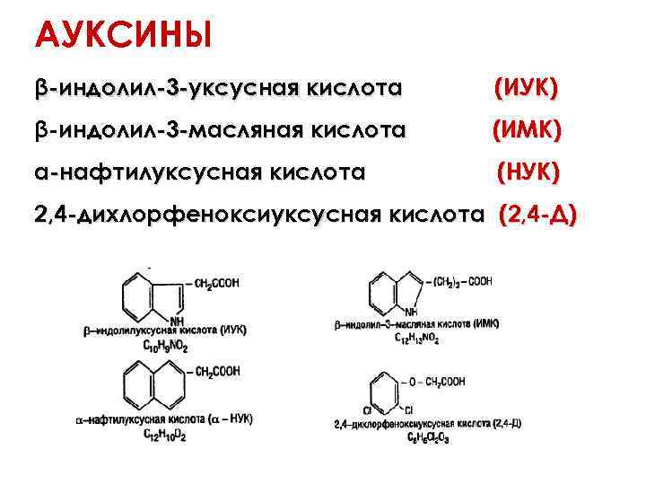 АУКСИНЫ β-индолил-3 -уксусная кислота (ИУК) β-индолил-3 -масляная кислота (ИМК) α-нафтилуксусная кислота (НУК) 2, 4