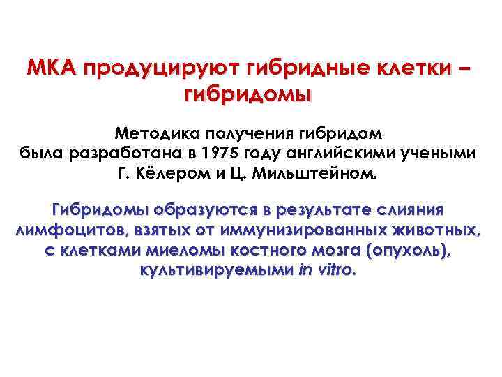 МКА продуцируют гибридные клетки – гибридомы Методика получения гибридом была разработана в 1975 году