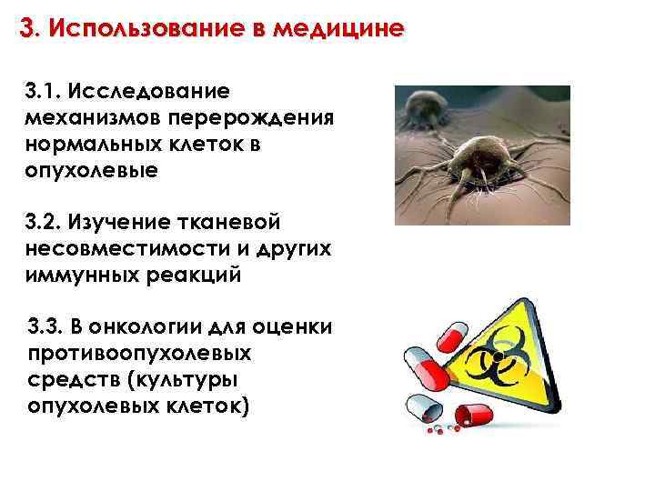 3. Использование в медицине 3. 1. Исследование механизмов перерождения нормальных клеток в опухолевые 3.