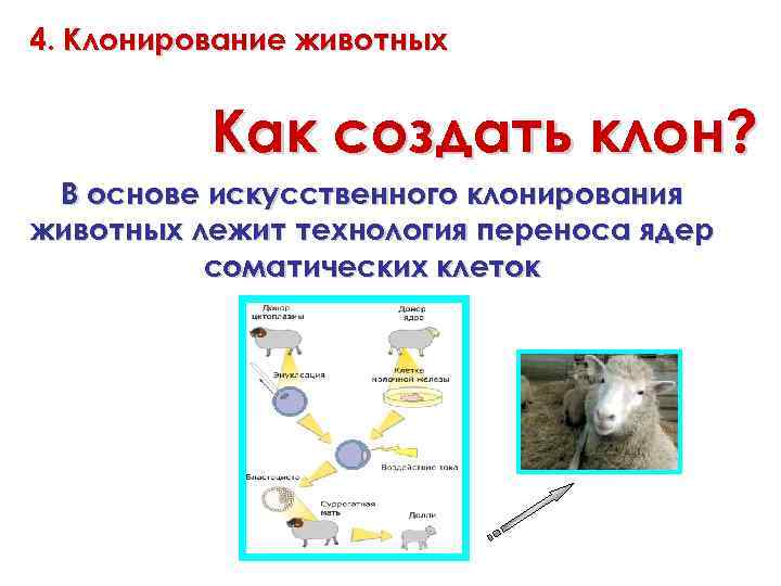 Клонирование голоса по образцу онлайн