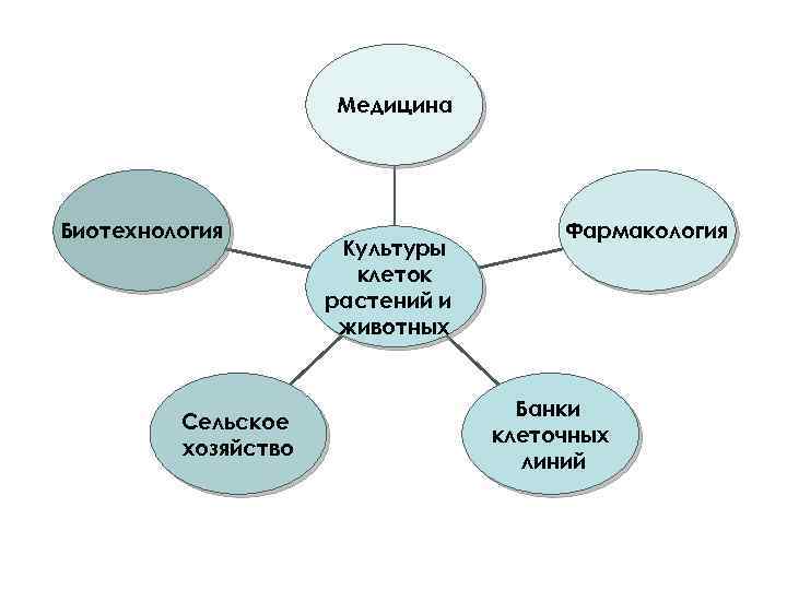 Медицина Биотехнология Сельское хозяйство Культуры клеток растений и животных Фармакология Банки клеточных линий 