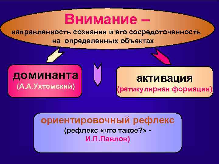 Внимание направленность сознания. Внимание это направленность сознания. Внимание это направленность и сосредоточенность сознания. Внимания это направленность сознания на определенный предмет. Направленность и сосредоточенность сознания на определенном объекте.